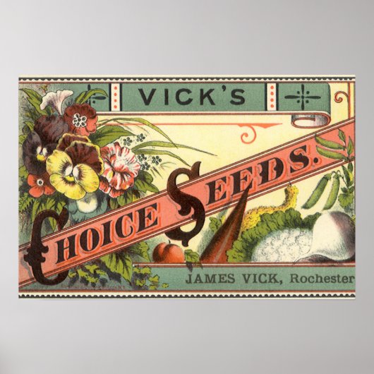Kunst van vintage zaadpakketlabels, Vick's Choice Poster (Voorkant)