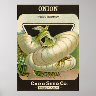Kunst van vintage zaadpakketlabels Witte Bermudase Poster