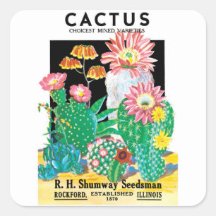 Kunst van vintage zaadpakketlabels woestijncactusp vierkante sticker