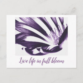 Kunst via Heather Leef het leven in een briefkaart