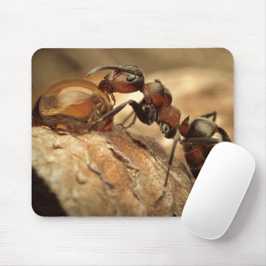 Kunst voor anker en waterval muismat (Met muis)