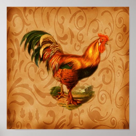 Kunst voor de keuken- Rustische rooster Poster (Voorkant)