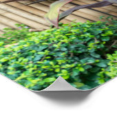 Kunst voor de muur van Boeddha Garden Poster (Hoek)