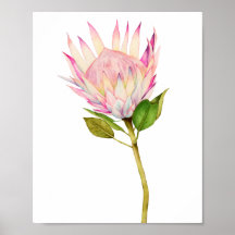 Kunst voor exotische roze Waterverf