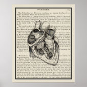Kunst voor het anatomieboek van het hart Afdrukken Poster (Voorkant)