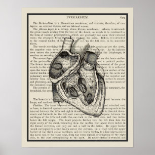 Kunst voor het anatomieboek van het hart Afdrukken Poster