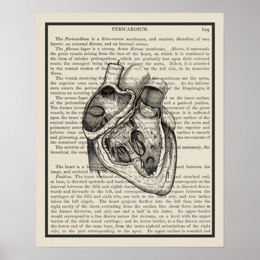 Kunst voor het anatomieboek van het hart Afdrukken Poster (Voorkant)