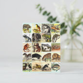 Kunst voor het Oerwoud- en zeebodemblad Briefkaart (Staand voorkant)