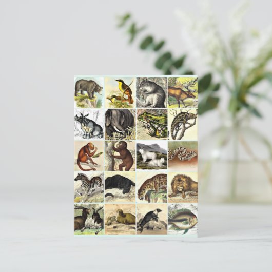 Kunst voor het Oerwoud- en zeebodemblad Briefkaart (Staand voorkant)