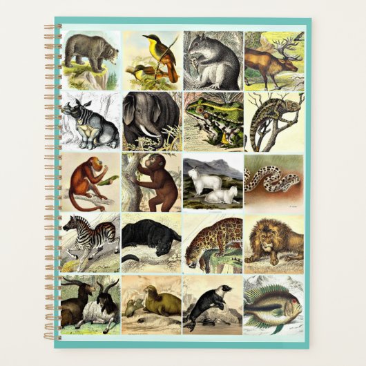Kunst voor het Oerwoud- en zeebodemblad Planner (Voorkant)
