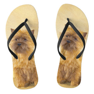 Kunst voor koeienwerpers - Kute Original Dog Art Teenslippers