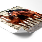 Kunst voor kwartpaarden poster (Hoek)