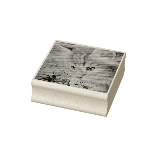 Kunst voor Oranje Waterverf in Kitten en Bumblebee Rubberstempel (Stempel)