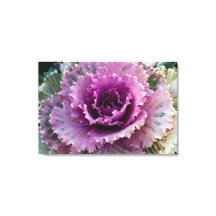 Kunst voor ornamental Kale Closeup Stretted Canvas
