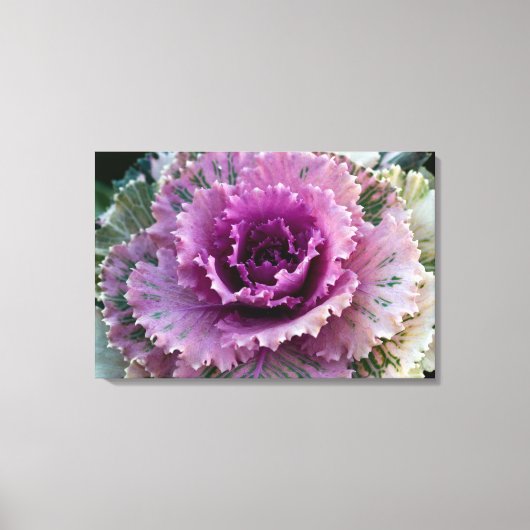 Kunst voor ornamental Kale Closeup Stretted Canvas (Voorkant)