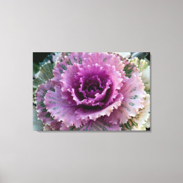 Kunst voor ornamental Kale Closeup Stretted Canvas Afdruk
