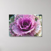 Kunst voor ornamental Kale Closeup Stretted Canvas Afdruk (Voorkant)