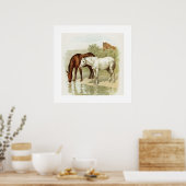 Kunst voor  paarden poster (Keuken)