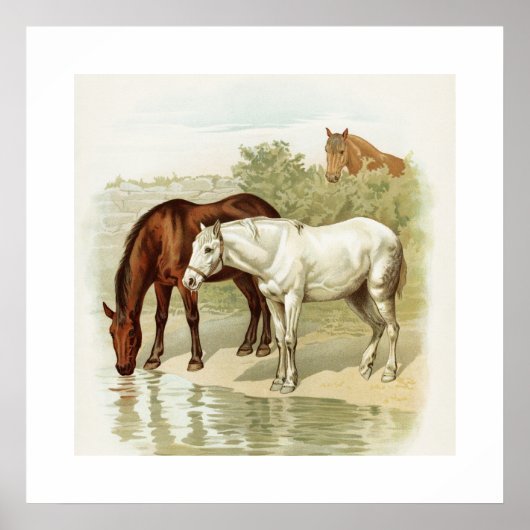 Kunst voor  paarden poster (Voorkant)