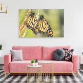 Kunst voor schilfers van Monarch-Butterflys Fotogr Canvas Afdruk (Insitu (Woonkamer))
