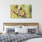 Kunst voor schilfers van Monarch-Butterflys Fotogr Canvas Afdruk (Insitu (Slaapkamer))