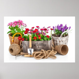 Kunst voor tuinbouwfotografie - SRF Poster