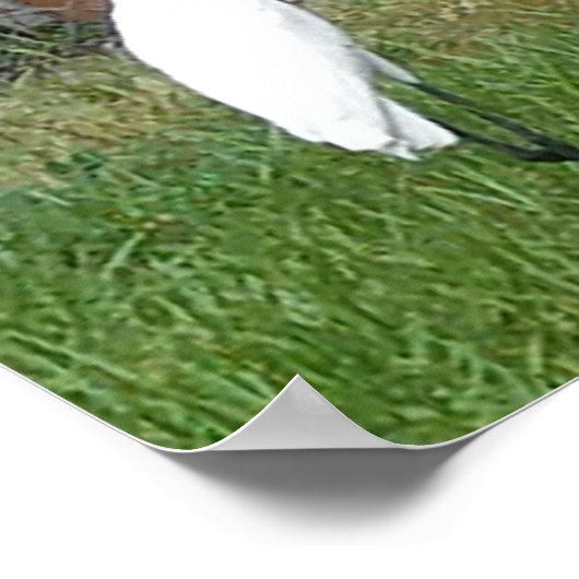 Kunst voor uw zalen poster (Hoek)