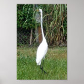 Kunst voor uw zalen poster (Voorkant)