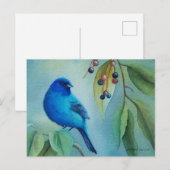 Kunst voor Waterverf van hackberry (Male Indigo Bu Briefkaart (Voorkant / Achterkant)