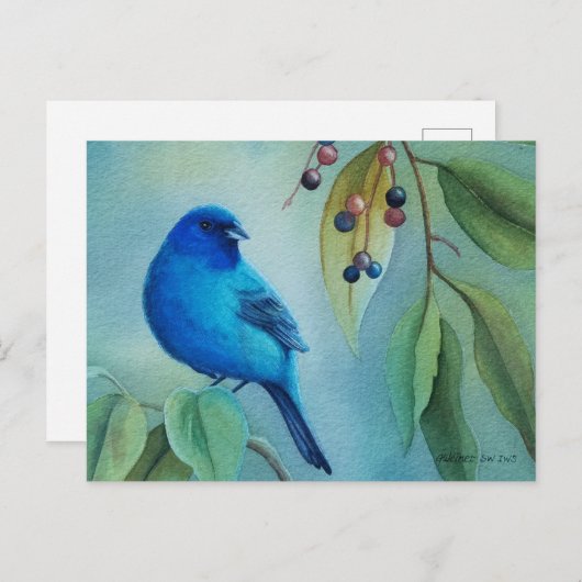 Kunst voor Waterverf van hackberry (Male Indigo Bu Briefkaart (Voorkant / Achterkant)