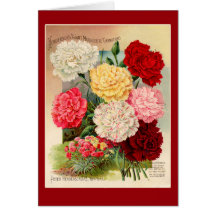 Kunst voor zaaizaad van anjers op kaarten