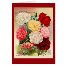 Kunst voor  zaaizaad van anjers op kaarten