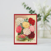 Kunst voor  zaaizaad van anjers op kaarten (Staand voorkant)