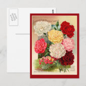 Kunst voor  zaaizaad van anjers op kaarten (Voorkant / Achterkant)