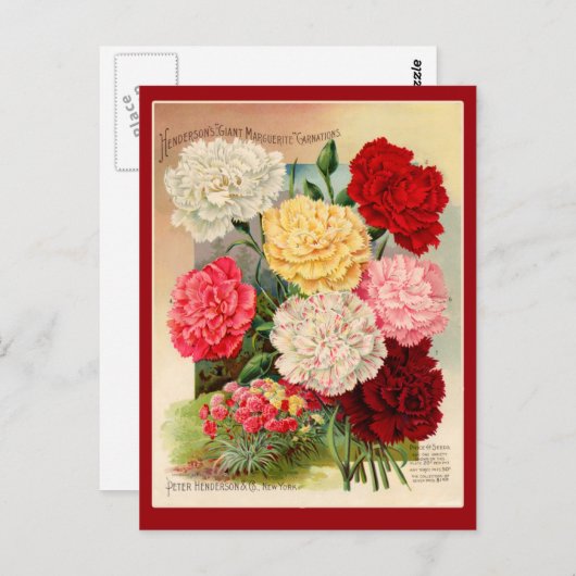 Kunst voor  zaaizaad van anjers op kaarten (Voorkant / Achterkant)