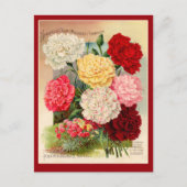 Kunst voor  zaaizaad van anjers op kaarten (Voorkant)