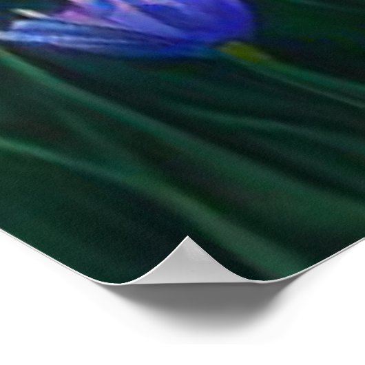 *~ Kunst Vrouw Zittend Pick Bloemenvijver AP56 Poster (Hoek)