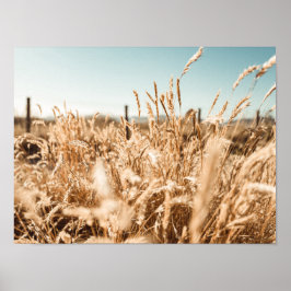 Kunst & wanddecoratie > Posters & Prints