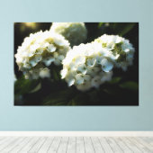 *~* Kunst Witte Hydrangea TV2 Uitgerekte Canvas Pr (Insitu (Houten vloer))