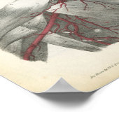 Kunstaarten van de Anatomie van het hoofd en van d Poster (Hoek)