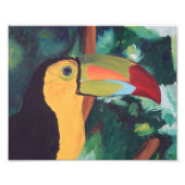 Kunstafdrukken: Toucan Foto Afdruk (Voorkant)