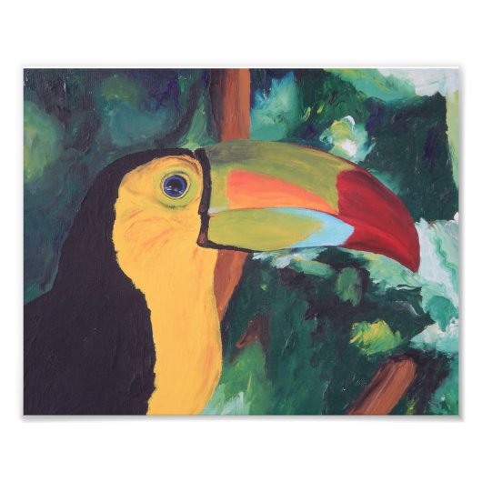Kunstafdrukken: Toucan Foto Afdruk (Voorkant)
