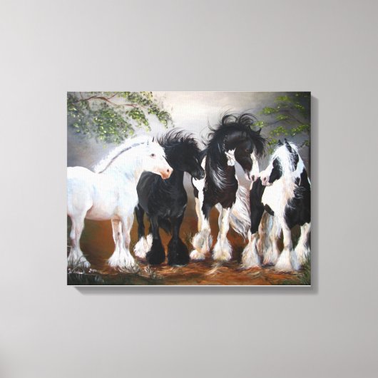 Kunstafdrukken van Gypsy Vanner Stallions Canvas Afdruk (Voorkant)