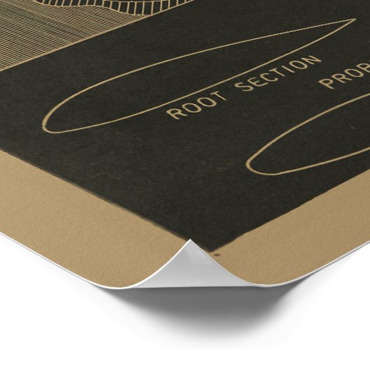 Kunstafdrukken van het vliegtuigontwerp voor de or poster (Hoek)