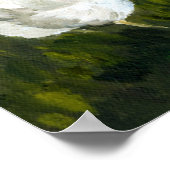 Kunstafdrukken van "Rooster & Hens" Poster (Hoek)