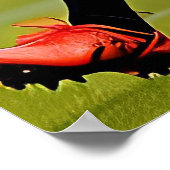 Kunstafdrukken voor dames in Rugby Poster (Hoek)