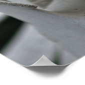 Kunstafdrukken: walviswervels poster (Hoek)