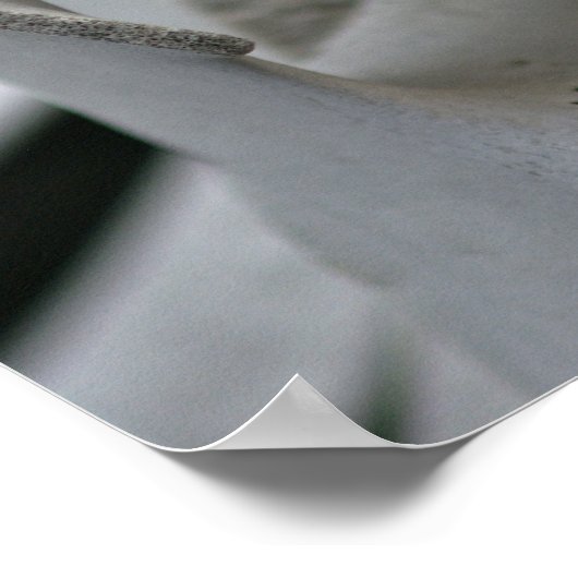 Kunstafdrukken: walviswervels poster (Hoek)