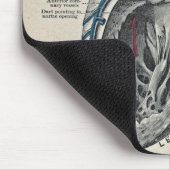 kunstanatomisch hartdiagram - wetenschap muismat (Hoek)