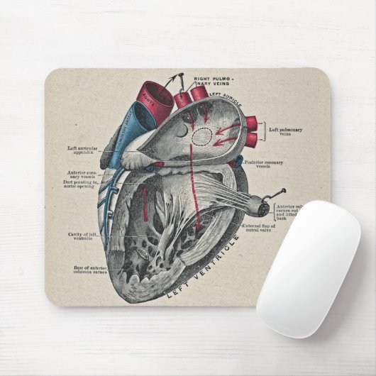 kunstanatomisch hartdiagram - wetenschap muismat (Met muis)